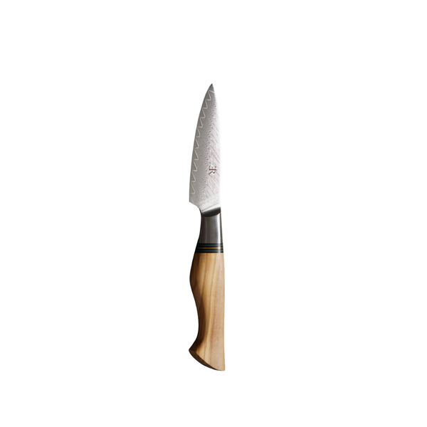 Paring knife with wooden handle on a white background
